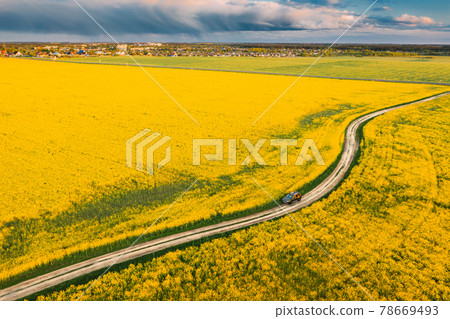 Aerial View Of Car SUV Parked Near Countryside Road In Spring Field Rural Landscape. Flowering Blooming Rapeseed, Oilseed In Field Meadow In Spring Season. Blossom Of Canola Yellow Flowers Aerial View Of Car SUV Parked Near Countryside Road In Spring Field Rural Landscape. Flowering Blooming Rapeseed, Oilseed In Field Meadow In Spring Season. Blossom Of Canola Yellow Flowers 78669493
