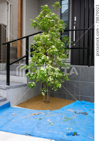 Planting work 78670023