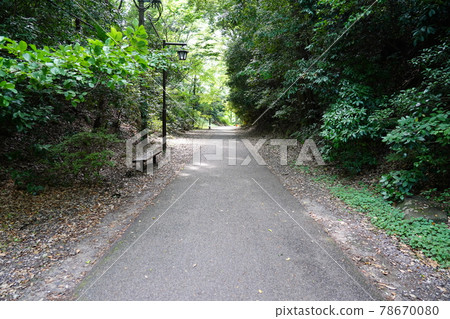 國木門-神奈川縣立相模原公園- 78670080