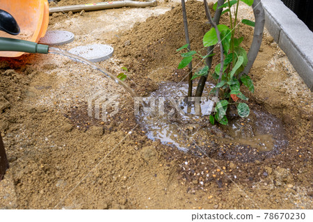 Planting work Planting work 78670230