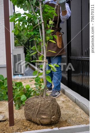 Planting work Planting work 78670311
