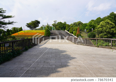 相模原麻水造公園 Deai Bridge 78670341