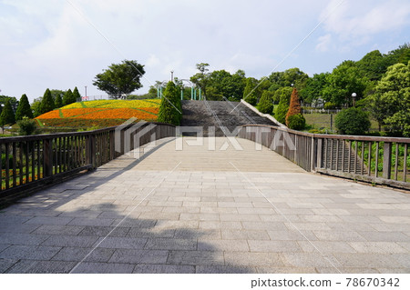 Sagamihara Asamizo Park Deai Bridge Sagamihara Asamizo Park Deai Bridge 78670342