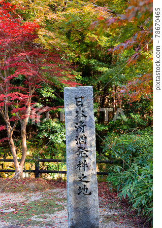 Autumn leaves of Honkyou-ji Autumn leaves of Honkyou-ji 78670465