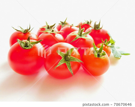 Tomato Tomato, ripe tomato, bright red tomato, taking a picture 78670646