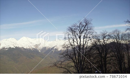 Beautiful landscape tree and snow-capped mountains. Green alpine meadow on a hillside and surrounded by pine forests. Distance - snow-capped mountains 78671034