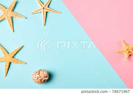 Exotic sea shell and starfish on minimal colorful background with copy space 78671967
