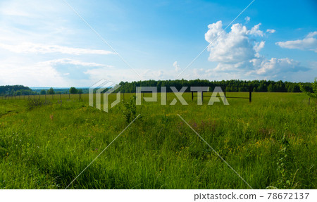 Russian field in summer in Russia Russian field in summer in Russia 78672137