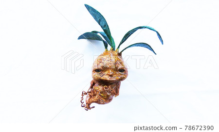 笑臉植物仙子 mandreke 78672390
