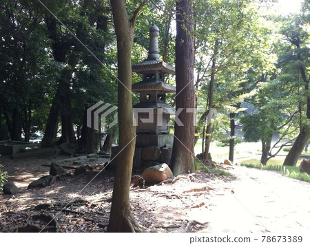 Around Hikone Castle's Genkyuen Garden and Hoshodai Around Hikone Castle's Genkyuen Garden and Hoshodai 78673389