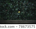 Wooden table board with dark green leaf background as frame and copy space for product show. the wood table is old style 78673575