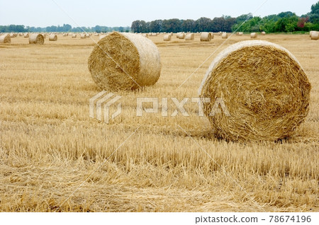 Haystacks Haystacks 78674196