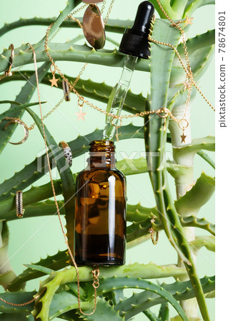 Concept is natural cosmetics. Serum with aloe extract. Plant with gold jewelry and serum 78674801