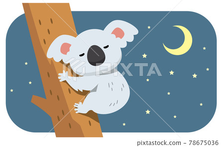 熟睡的考拉和夜空的插畫素材 78675036