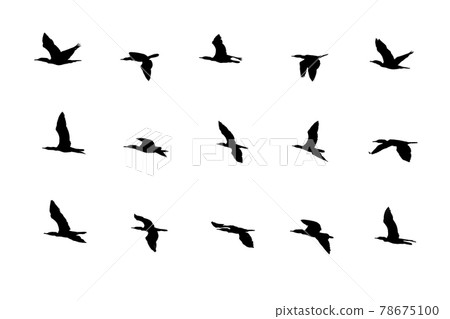 Collection of silhouetted flying birds on white background. Collection of silhouetted flying birds on white background. 78675100