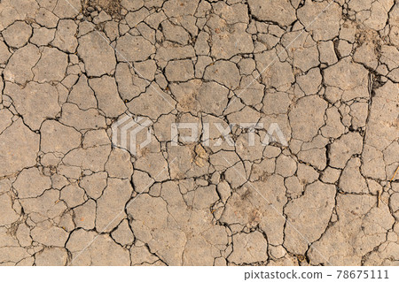 Abstract texture of cracking soil ground of drougt area in forest. 78675111