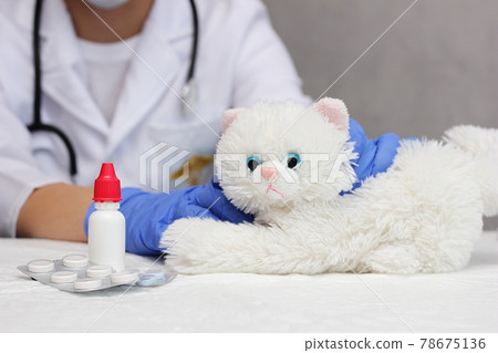 A toy white kitten in the hands of a veterinarian. medicine for pets. A toy white kitten in the hands of a veterinarian. medicine for pets. 78675136