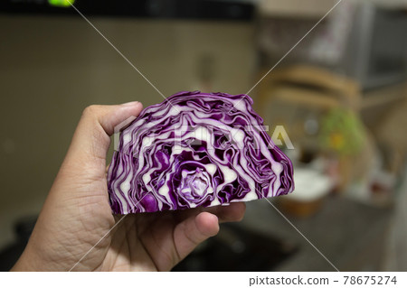 A slice of purple cabbage on male hand  78675274
