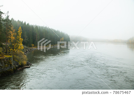 Beautiful autumn landscape of Kymijoki river waters in fog. Finland, Kymenlaakso, Kotka Beautiful autumn landscape of Kymijoki river waters in fog. Finland, Kymenlaakso, Kotka 78675467