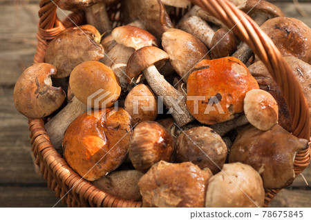 Forest Edible Mushrooms Leccinum Scabrum In Wicker Basket On Old Wooden Table Close Up. Harvesting Mushrooms. Selective Focus. Forest Edible Mushrooms Leccinum Scabrum In Wicker Basket On Old Wooden Table Close Up. Harvesting Mushrooms. Selective Focus. 78675845