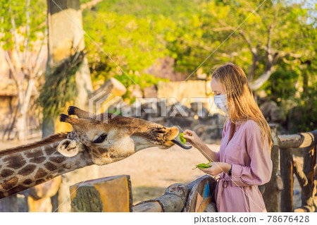 Happy young woman watching and feeding giraffe in zoo wearing a medical mask during COVID-19 coronavirus. Happy young woman having fun with animals safari park on warm summer day Happy young woman watching and feeding giraffe in zoo wearing a medical mask during COVID-19 coronavirus. Happy young woman having fun with animals safari park on warm summer day 78676428