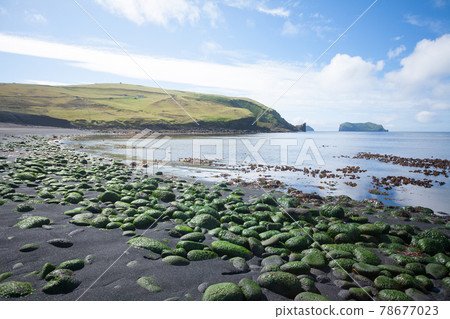 Vestmannaeyjar island beach day view, Iceland landscape. Alsey island Vestmannaeyjar island beach day view, Iceland landscape. Alsey island 78677023