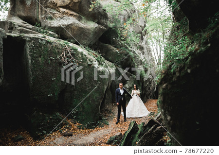 Happy wedding couple walking in a botanical park Happy wedding couple walking in a botanical park 78677220