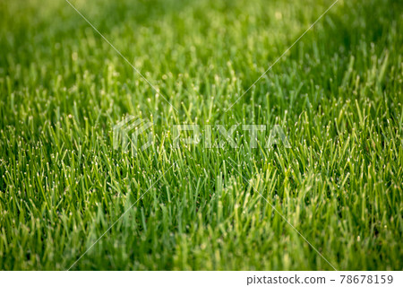 Natural abstract background Natural abstract background 78678159