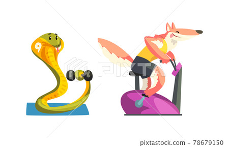 Cute Animals Wild Animals Doing Sports Set, Fox Exercising on Stationary Bike and Snake Exercising with Dumbbells Cartoon Vector Illustration Cute Animals Wild Animals Doing Sports Set, Fox Exercising on Stationary Bike and Snake Exercising with Dumbbells Cartoon Vector Illustration 78679150