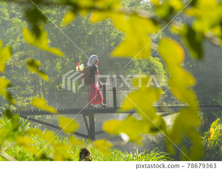 Karen tribe old woman with traditional dress carrying flowers basket walking on a bridge with lake with green jungle forest. Nature landscape. People lifestyle. Karen tribe old woman with traditional dress carrying flowers basket walking on a bridge with lake with green jungle forest. Nature landscape. People lifestyle. 78679363