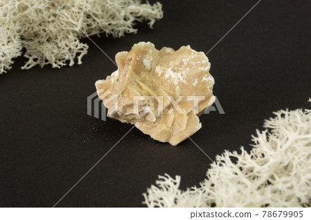Desert rose crystal from Tunisia. Natural mineral stone on black background. Mineralogy, geology, magic of stones, semi-precious stones and samples of minerals. Close-up macro photo. Desert rose crystal from Tunisia. Natural mineral stone on black background. Mineralogy, geology, magic of stones, semi-precious stones and samples of minerals. Close-up macro photo. 78679905