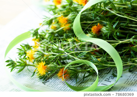 Bouquet of safflowers prepared for dried flowers (summer festival) Bouquet of safflowers prepared for dried flowers (summer festival) 78680369