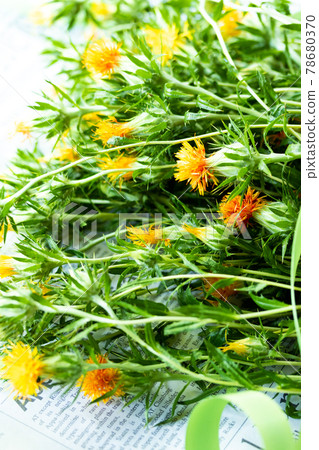 Bouquet of safflowers prepared for dried flowers (summer festival) 78680370