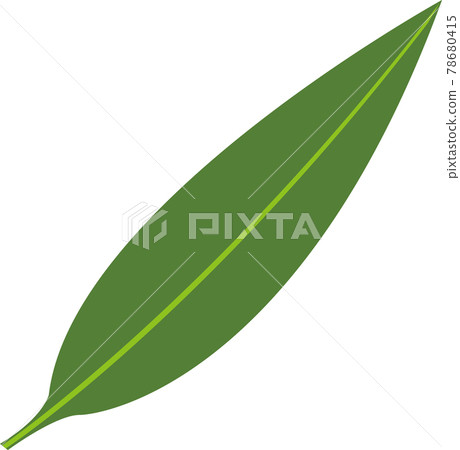 Moon peach leaves Moon peach leaves 78680415