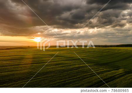 Aerial landscape view of green cultivated agricultural fields with growing crops on bright summer evening. Aerial landscape view of green cultivated agricultural fields with growing crops on bright summer evening. 78680985