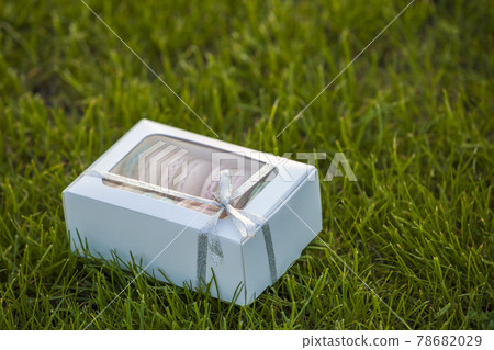 Cardboard white gift box with colorful handmade macaron cookies on green grass lawn background. 78682029