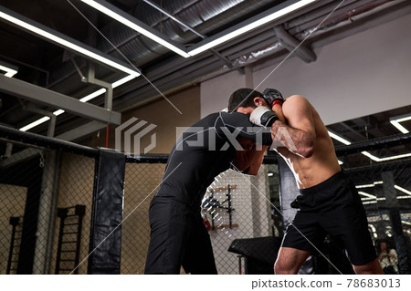 young MMA boxers fighters fight in fights without rules in ring octagons young MMA boxers fighters fight in fights without rules in ring octagons 78683013