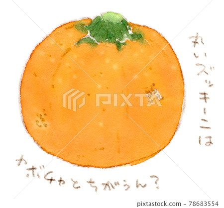 Watercolor illustration of summer vegetables, round and orange zucchini Watercolor illustration of summer vegetables, round and orange zucchini 78683554