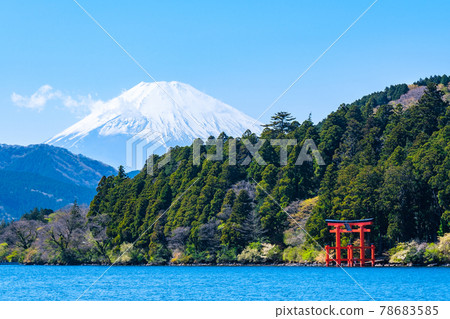 蘆之湖 蘆之湖 78683585