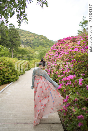 Portrait of Chinese Hanfu Girls Portrait of Chinese Hanfu Girls 78684527