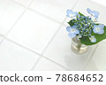 Hydrangea 78684652