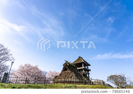 Yonago City, Tottori Prefecture Spring Hokikodainooka Park's Hokikodainooka Tomb and restored stilt building 78685248