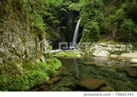 Amedaki [Ikuseicho, Kumano City, Mie Prefecture] 78685341