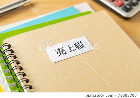 Sales book Accounting processing Sales Double-entry bookkeeping Accounting record Income 78685706