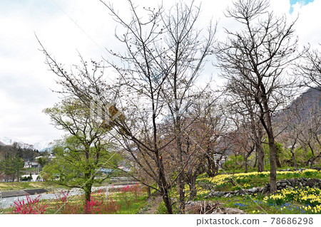 [Tone-gun, Gunma Prefecture] Suwakyo Promenade Tone River 78686298