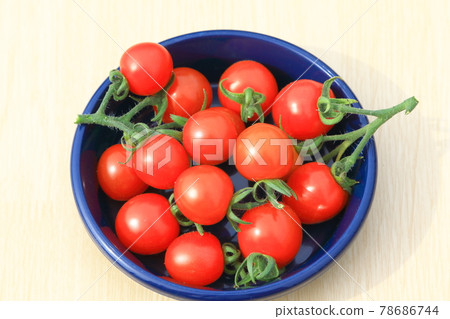 Mini Tomato Petit Tomato Mini Tomato Petit Tomato 78686744
