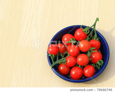 Mini Tomato Petit Tomato Mini Tomato Petit Tomato 78686746