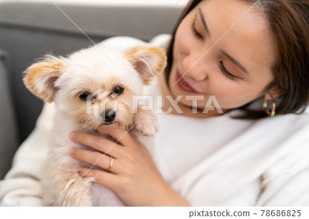 Young woman living with small dog 78686825