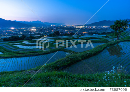 《Nagano Prefecture》 Obasute Tanada / Night view 《Nagano Prefecture》 Obasute Tanada / Night view 78687096
