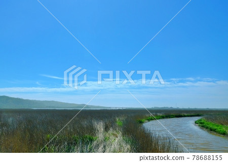 Pasicle沼澤的上升沼澤（北海道） 78688155